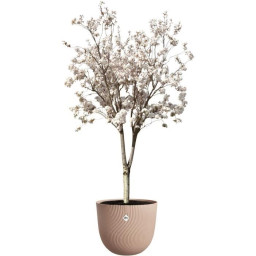Pot de fleurs - ELHO -...