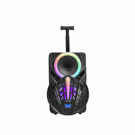 Haut-parleurs bluetooth portables Denver Electronics TSP301 10W Noir 12 W
