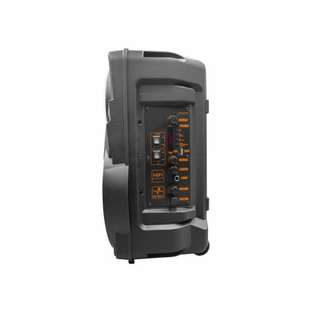 Haut-parleurs bluetooth portables Denver Electronics TSP301 10W Noir 12 W