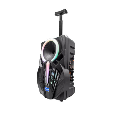 Haut-parleurs bluetooth portables Denver Electronics TSP301 10W Noir 12 W