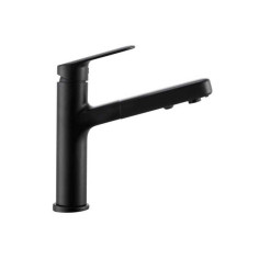 1 mitigeur de cuisine douchette ICONE noir - 