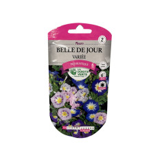 Fleur belle de jour variée 3g - 