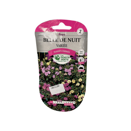 Fleur belle de nuit variée 3g