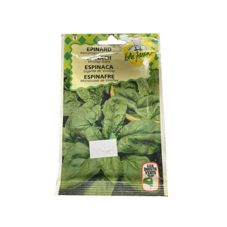 Semence epinard monstrueux de viroflay 12g - 