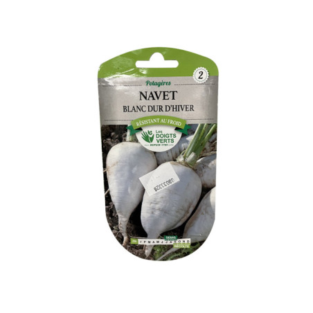 Semence navet blanc dur d'hiver 5g