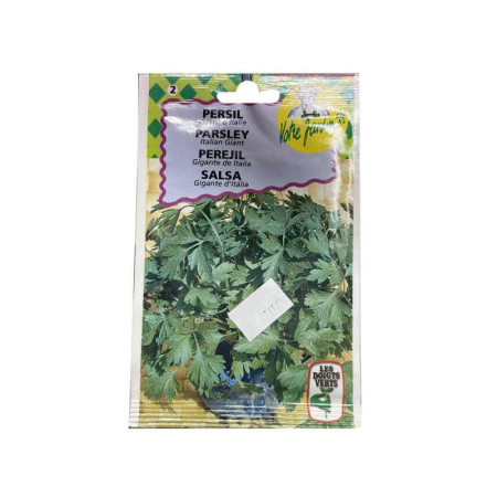 Semence persil géant d'italie 10g - 