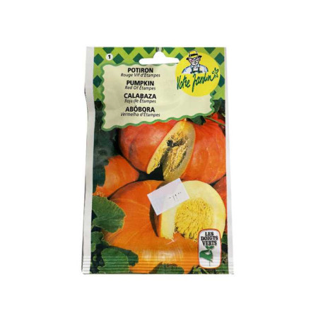 Semence potiron rouge vif d'etampes 6g - 