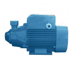 Pompe de surface PKm 100 Hmt 80m-4.2m3/H - 