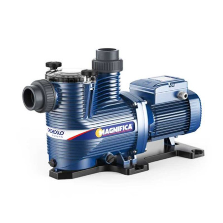 Pompe de piscine Magnifica 3m