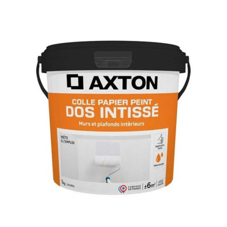 Colle papier peint pâte intissés 1 kg - 