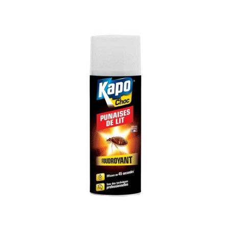 Bombe insecticide Peinture aérosol pour punaise de lit, KAPO, 400 ml