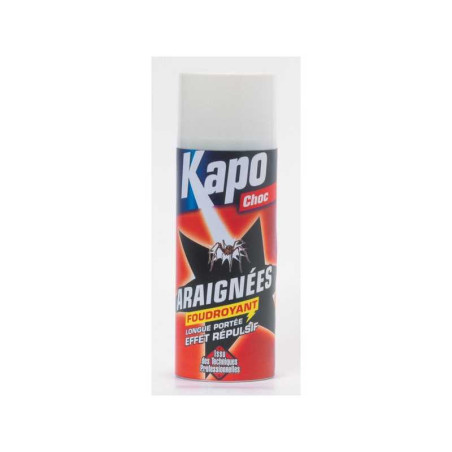 Insecticide Peinture aérosol Araignées Kapo, 400 Ml