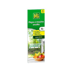 Lot de 4 pièges à&nbsp; mouches