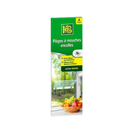 Lot de 4 pièges à&nbsp; mouches