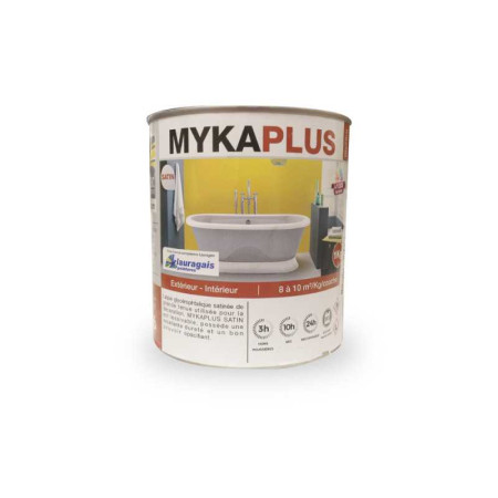 Peinture à&nbsp; l'huile intérieure -extérieure Mykaplus - 