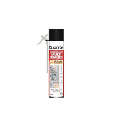 Mousse expansive multi-usages 500 ml - 