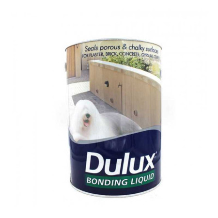 Bonding primer 5L intérieur extérieur apprêt pour surface poudreu - 