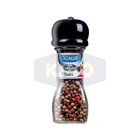 Mélange 5 baies entier Mon Moulin 24g