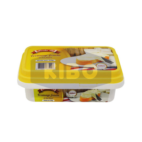 Fromage fondu à tartiner 250g