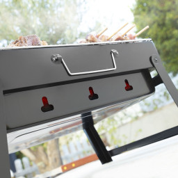 Barbecue Pliable Portatif Charbon BearBQ InnovaGoods