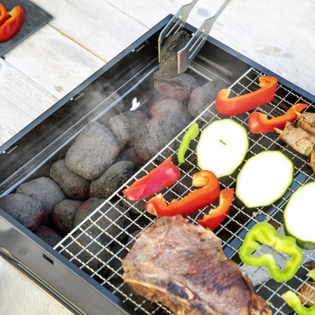 Barbecue Pliable Portatif Charbon BearBQ InnovaGoods