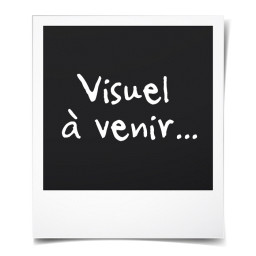 Scie circulaire portative...