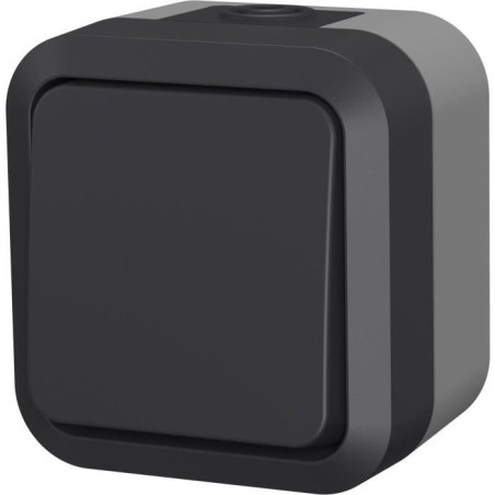 Poussoir - QUARX - Aqua Pro - Extérieur, 250V, 10A, IP55, conforme NF