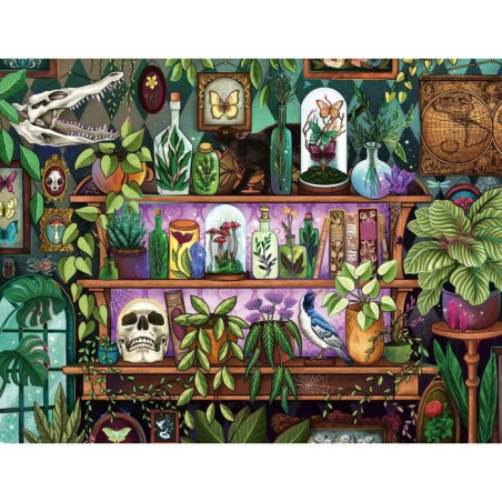 Puzzle 2000 pieces, Des 14 ans, Bibelots et objets de sorciere, Puzzle de qualité premium fabriqué en Europe, Plantes, 1200141