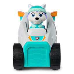 SPIN MASTER VEHICULE +...