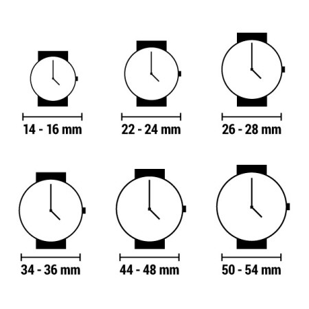 Montre connectée Guess C3001G3 (Ø 45 mm) gris