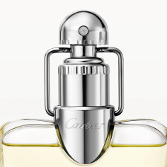 Parfum Femme Cartier Déclaration EDT 100 ml Parfum Femme Cartier Déclaration EDT 100 ml
