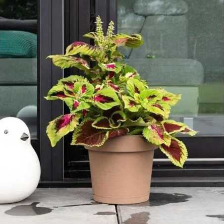 Pot a réserve d'eau - GARDEN ID Glamour - Taupe 40 cm - Surface granuleuse - Intérieur/extérieur - Design épuré - Contient