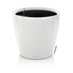 Jardiniere - Classico...
