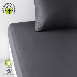Drap housse - TODAY - 180 x...