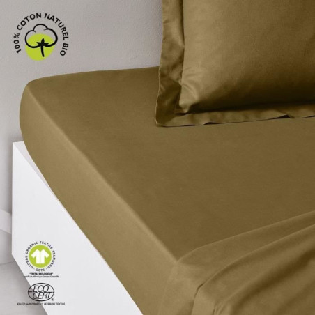 Drap housse - TODAY - 180 x 200 cm + 30 cm - Coton - Organic Bronze