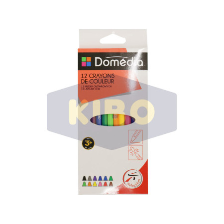 12 Crayons de couleurs