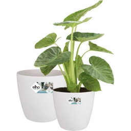 ELHO&nbsp;Lot de 2 pots de...