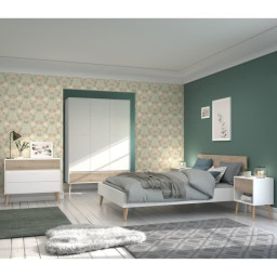 Chambre complete - AALBORG...