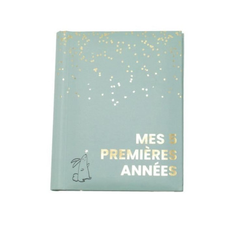 Livre naissance - DOMIVA - Sauge Gold - 5 premieres années - 100 pages illustrées
