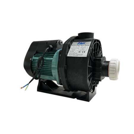 Pompe pour SPA PR15 1,1KW 24M3-H