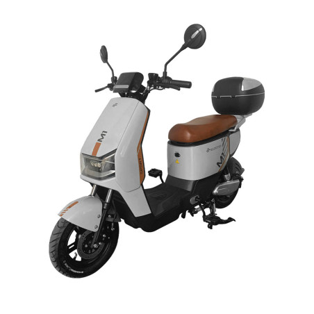 Scooter éléctrique Ecooter VIA 500W