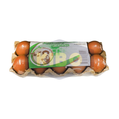 Œuf pack de 10