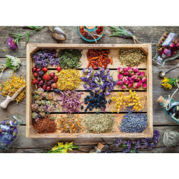 Nathan - Puzzle 1500 pieces...