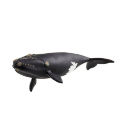 14878 baleine de...