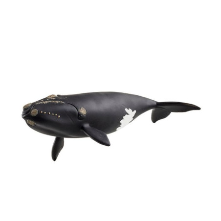 14878 baleine de l'atlantique - SCHLEICH - FIGURINES/Les animaux - Beige - Plastique - Des 3 ans