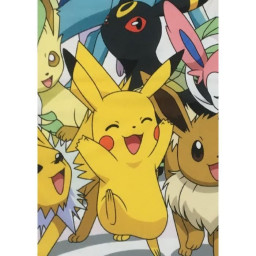 Couverture Sherpa - POKEMON...