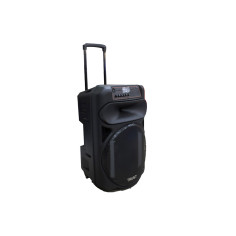 Enceinte 15" avec Microphone sans fil 80W TTS-15D TRUST