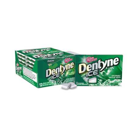 Ice chewing-gum spearmint x12