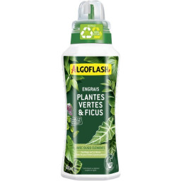 Engrais plantes vertes -...