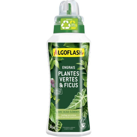 Engrais plantes vertes - ALGOFLASH - Plantes vertes & Ficus - 500 ml - UAB